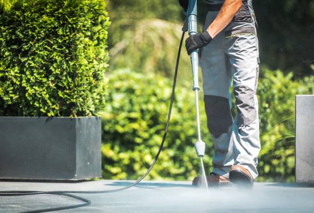 Best Driveway Cleaning and Restoration in Raymondville, TX