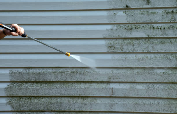 Professional Pressure Washing Services in Raymondville, TX